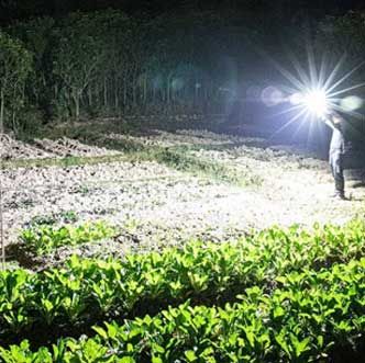 Versatile High-Power LED Flashlight with Power Bank & Safety Hammer | ALL BAZAR